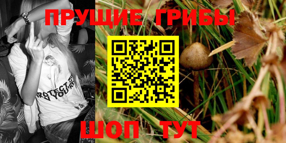 Псилоцибиновые грибы ЛСД  Вход с VPN  Борисоглебск  Псилоцибиновые грибы Magic Shrooms 