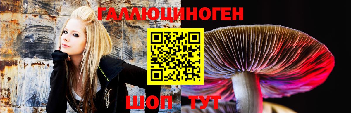 Псилоцибиновые грибы мухоморы Борисоглебск